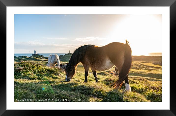 Sunset on llandwyn Island Anglesey  Framed Mounted Print by Gail Johnson