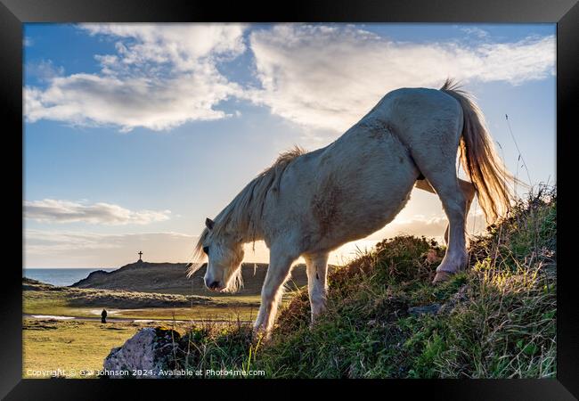 Sunset on llandwyn Island Anglesey  Framed Print by Gail Johnson