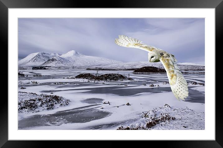 Owl flying over Rannoch Moor Framed Mounted Print by Sam Smith