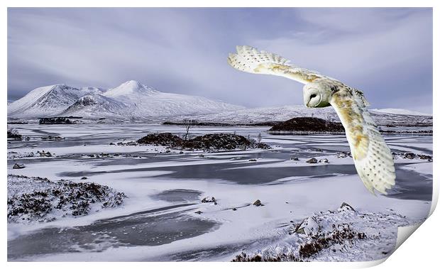 Owl flying over Rannoch Moor Print by Sam Smith