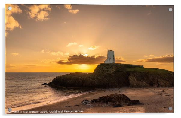 Sunset on llandwyn Island Anglesey  Acrylic by Gail Johnson