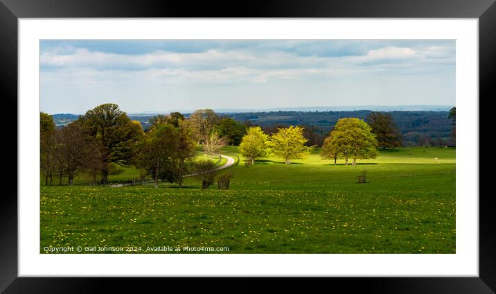 Outdoor grass Framed Mounted Print by Gail Johnson