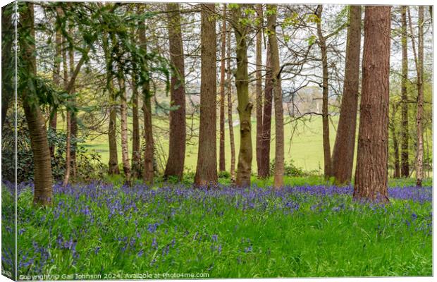 bluebells at Chirk Wales UK Canvas Print by Gail Johnson