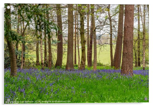 bluebells at Chirk Wales UK Acrylic by Gail Johnson