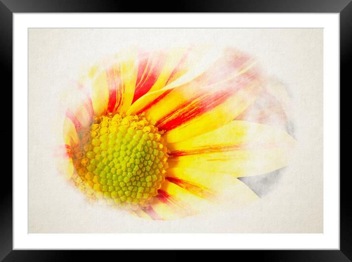 Big Kiss White Flame in watercolor Framed Mounted Print by youri Mahieu
