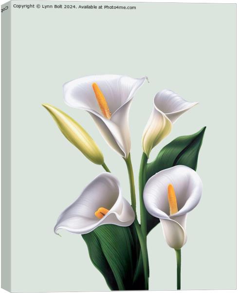Four Calla Lilies Canvas Print by Lynn Bolt