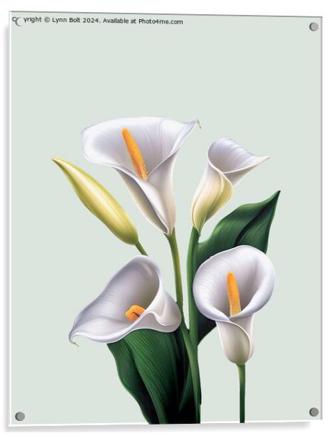 Four Calla Lilies Acrylic by Lynn Bolt