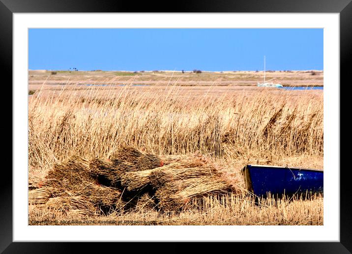 Norfolk Reed Cutters Boat and Sheaves Framed Mounted Print by Alice Rose