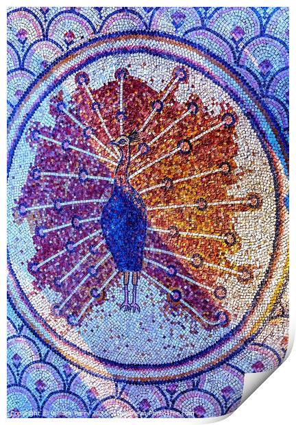 Octagon Pheasant Mosaic Peter's House Capernaum Israel  Print by William Perry