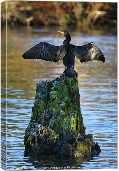 Cormorant On the River Thames Canvas Print by Oxon Images