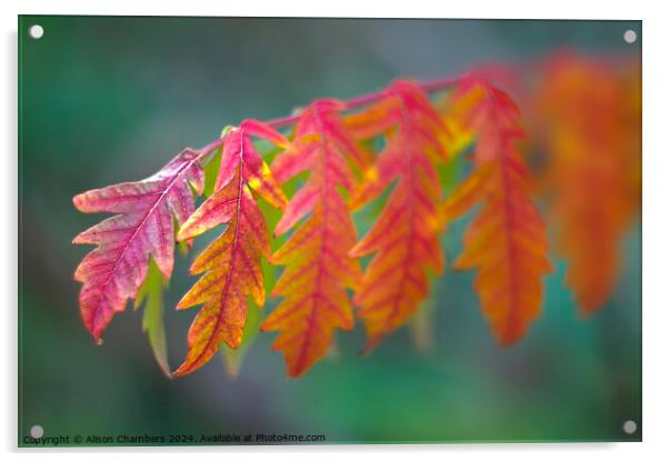 Autumn Sumach Leaf Acrylic by Alison Chambers