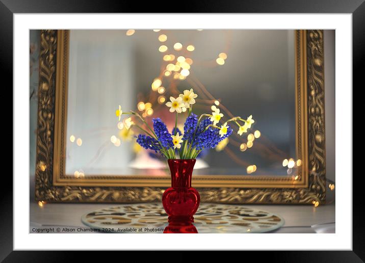 Vase of Flowers Framed Mounted Print by Alison Chambers