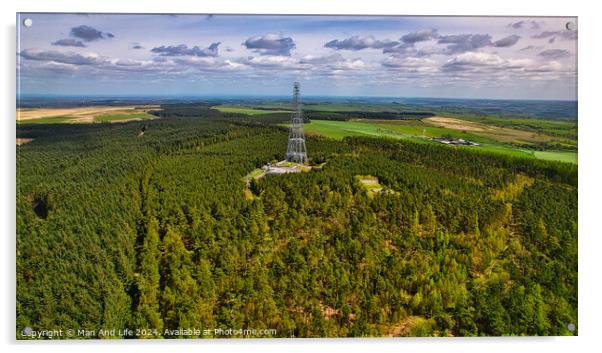 Metal Tower Amidst Forest Aerial View in North Yorkshire Acrylic by Man And Life