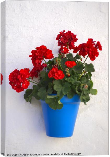 Geraniums Canvas Print by Alison Chambers