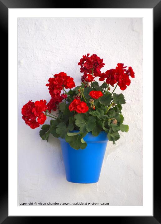 Geraniums Framed Mounted Print by Alison Chambers