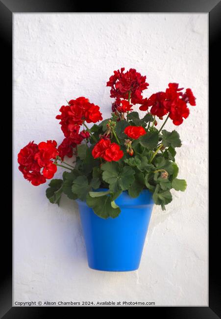 Geraniums Framed Print by Alison Chambers