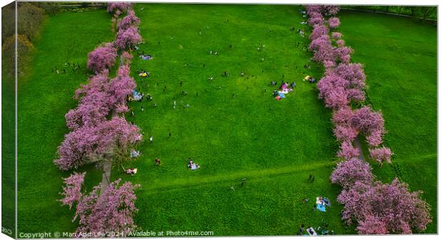 Springtime in the Park in Harrogate, North Yorkshire Canvas Print by Man And Life