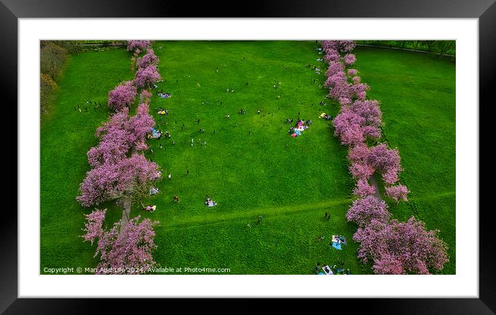Springtime in the Park in Harrogate, North Yorkshire Framed Mounted Print by Man And Life