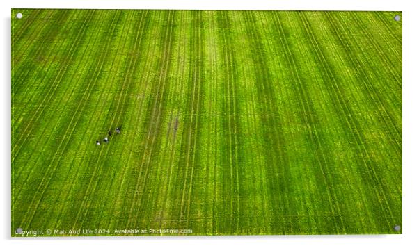 Striking Contrast in a Green Field in Harrogate, North Yorkshire Acrylic by Man And Life