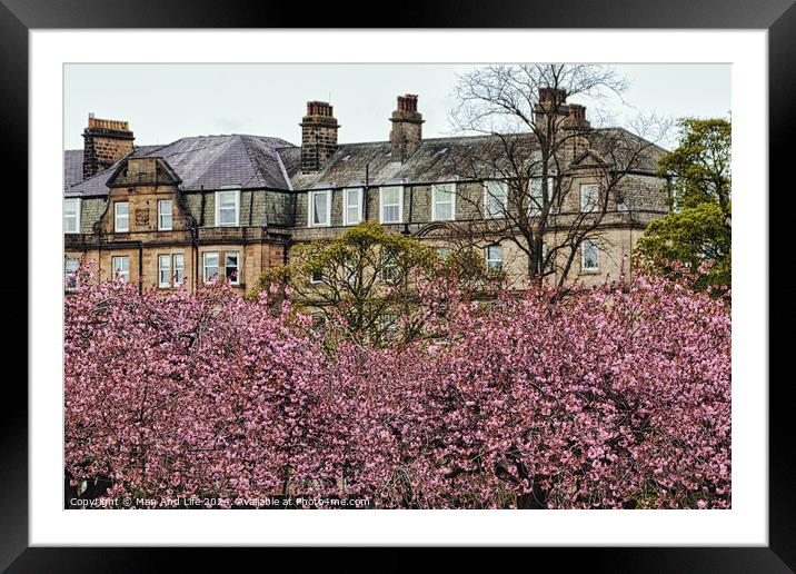 Spring Blossoms and Stone Houses in North Yorkshire Framed Mounted Print by Man And Life