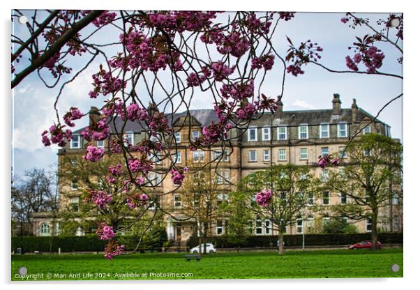 Spring Blossoms and Historic Architecture in Harrogate ,North Yorkshire Acrylic by Man And Life