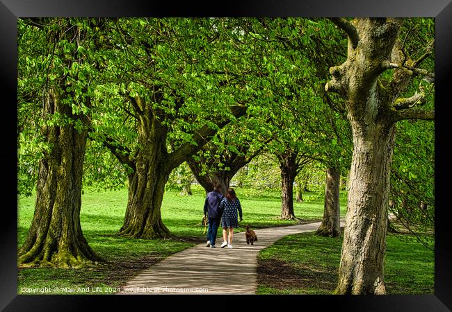 Stroll in the Park in Harrogate ,North Yorkshire Framed Print by Man And Life