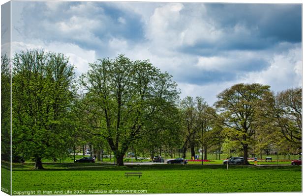 Serene Park Scene in Harrogate ,North Yorkshire Canvas Print by Man And Life