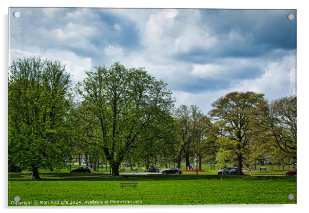 Serene Park Scene in Harrogate ,North Yorkshire Acrylic by Man And Life