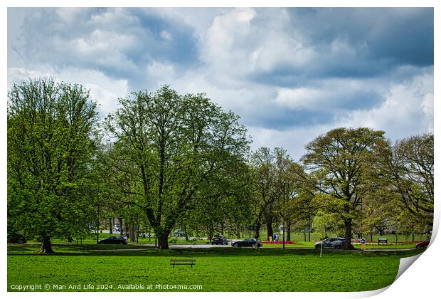 Serene Park Scene in Harrogate ,North Yorkshire Print by Man And Life