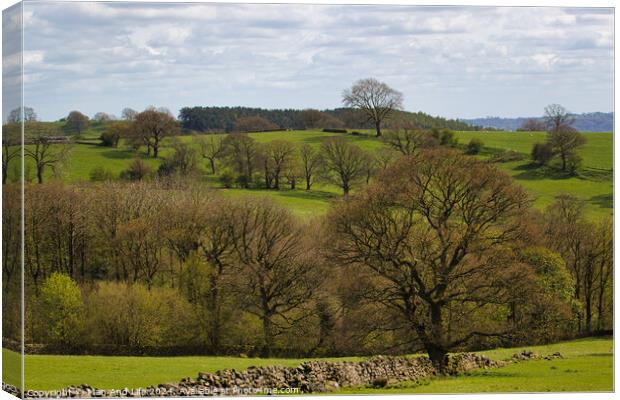 Verdant Countryside Panorama in North Yorkshire, England Canvas Print by Man And Life