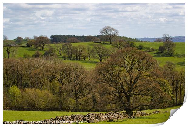 Verdant Countryside Panorama in North Yorkshire, England Print by Man And Life
