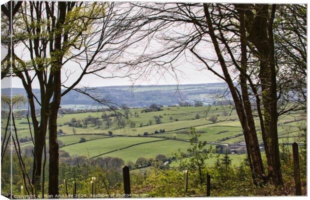 Green Countryside Vista Canvas Print by Man And Life