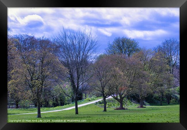 Springtime Park Pathway in Harrogate, North Yorkshire Framed Print by Man And Life