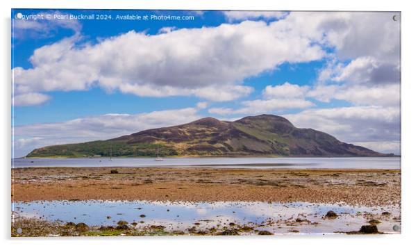 Holy Isle Arran Island Scotland Acrylic by Pearl Bucknall