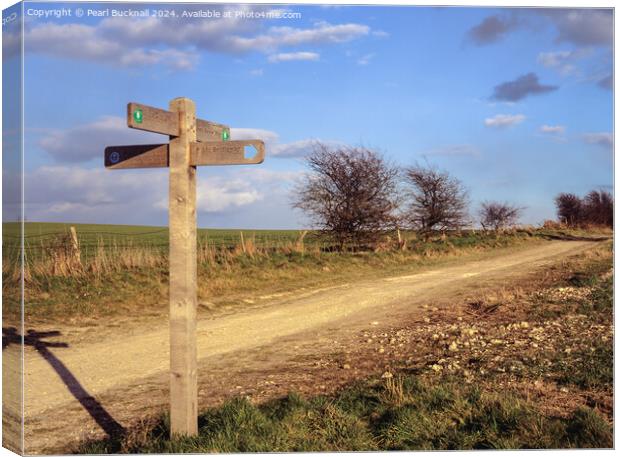 South Downs Way path in West Sussex Canvas Print by Pearl Bucknall