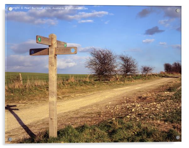 South Downs Way path in West Sussex Acrylic by Pearl Bucknall