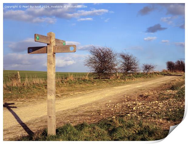 South Downs Way path in West Sussex Print by Pearl Bucknall