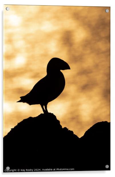 Puffin sunset silhouette Acrylic by Kay Roxby