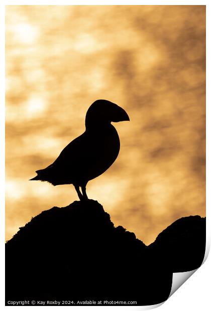 Puffin sunset silhouette Print by Kay Roxby