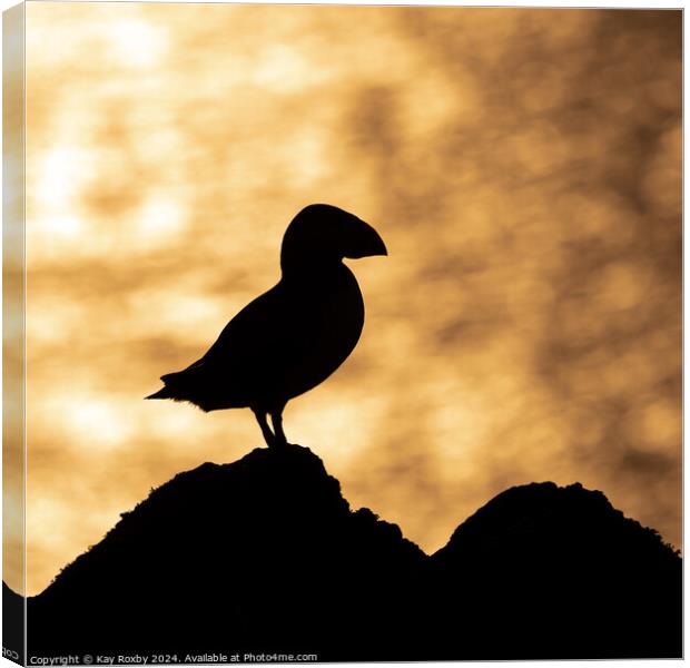 Puffin sunset silhouette Canvas Print by Kay Roxby