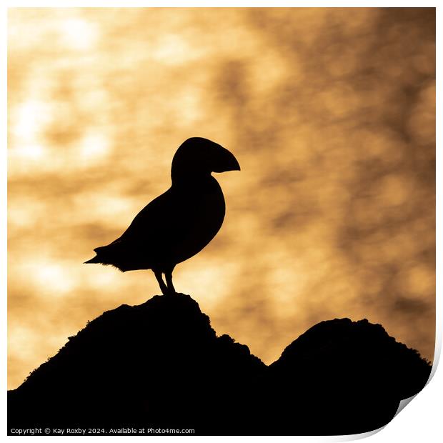 Puffin sunset silhouette Print by Kay Roxby