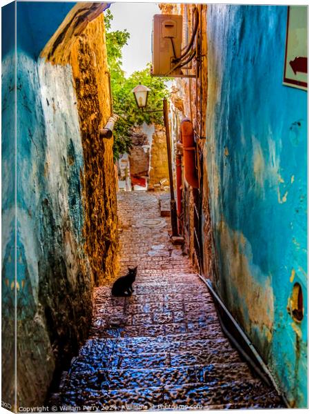 Old Stone Street Alleyway Black Cat Safed Tsefat Israel   Canvas Print by William Perry