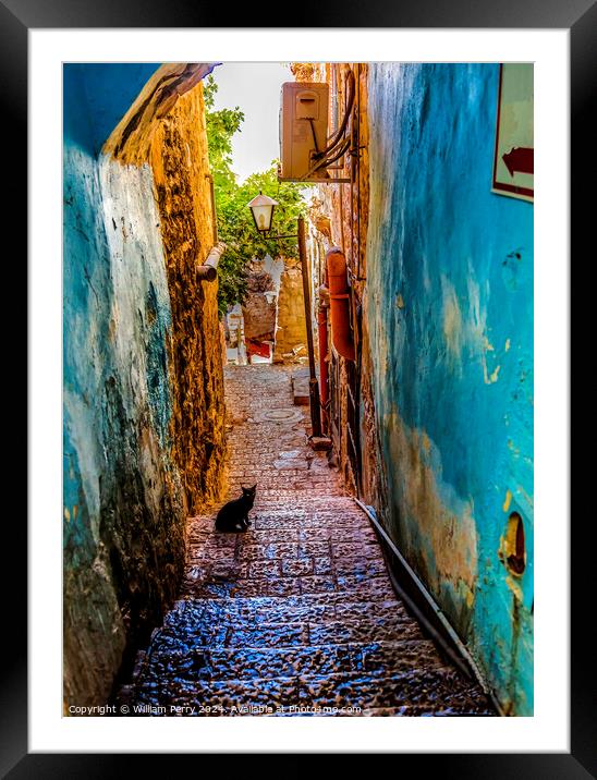 Old Stone Street Alleyway Black Cat Safed Tsefat Israel   Framed Mounted Print by William Perry