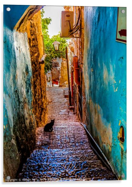 Old Stone Street Alleyway Black Cat Safed Tsefat Israel   Acrylic by William Perry