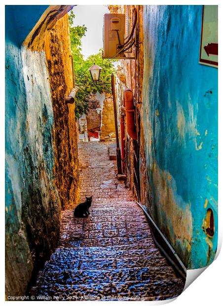 Old Stone Street Alleyway Black Cat Safed Tsefat Israel   Print by William Perry