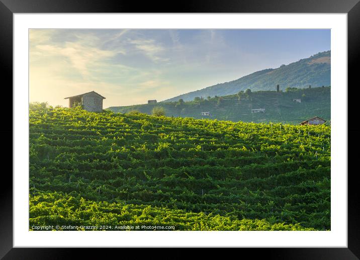 Vineyards of Prosecco at sunset. Valdobbiadene, Italy Framed Mounted Print by Stefano Orazzini