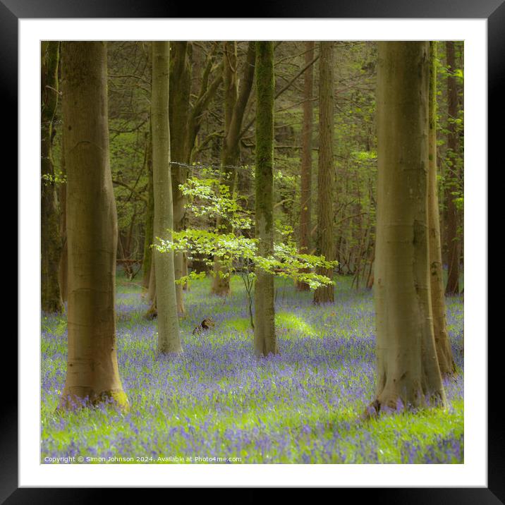 Bluebell Woodland Framed Mounted Print by Simon Johnson