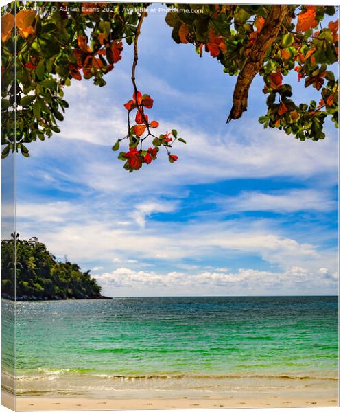 Island in Malaysia Canvas Print by Adrian Evans