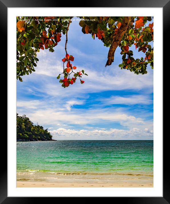 Island in Malaysia Framed Mounted Print by Adrian Evans