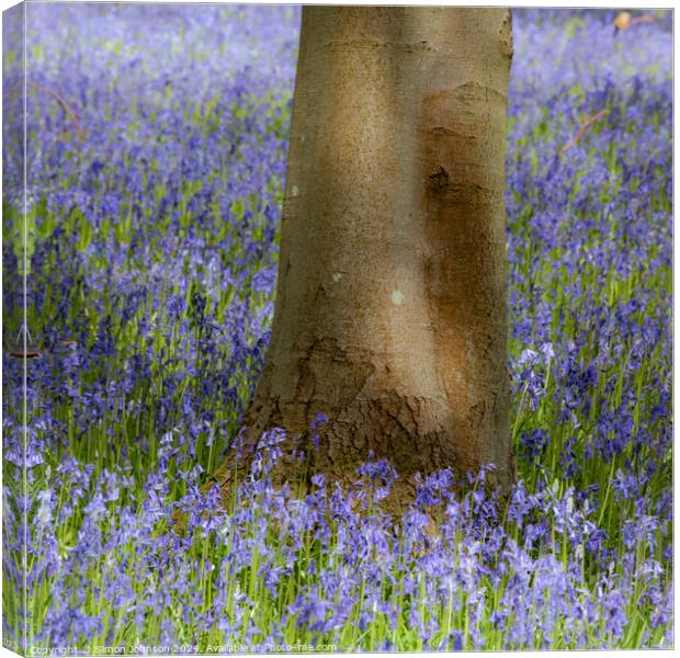 bluebells Canvas Print by Simon Johnson